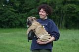 ADULTE ET CHIEN 517